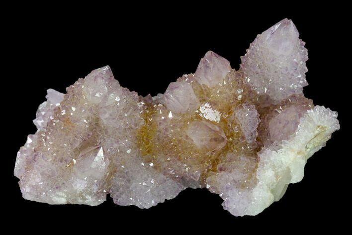 Cactus Quartz (Amethyst) Crystal Cluster - South Africa #137809